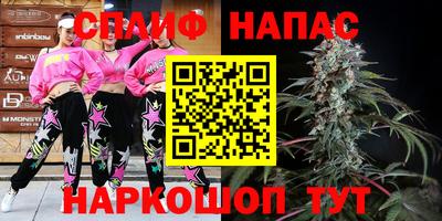 прущие грибы Краснокаменск